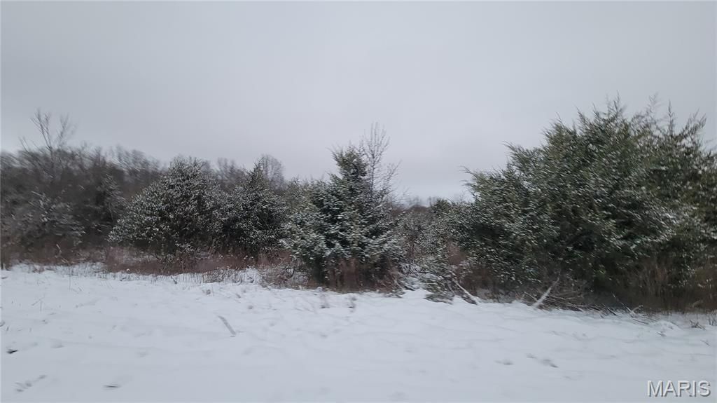 Photo of 4 Valley Farm Lane, Warrenton, MO 63383 (MLS # 25079523)