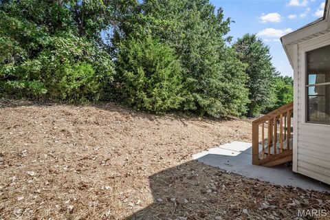 Tiny photo for 205 Whitetail Crossing Drive, Troy, MO 63379 (MLS # 25051766)