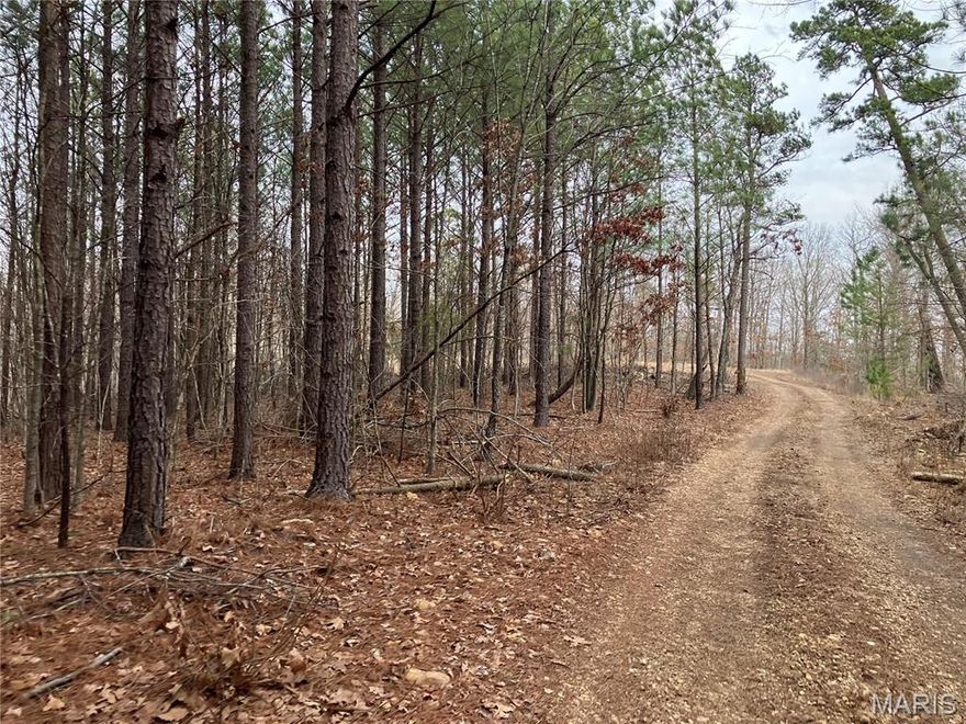 This 6 acre Ozark hideaway includes a great stand of mature pine trees with level room for a home, cabin or campsite, all with a great view over a wooded valley and distant hills. It also has deeded access to a nearby shared spring-fed stream, a road along two sides, and sits within about a mile of Mark Twain National Forest. 
This affordable wooded oasis comes with NO restrictions, and can be had for less than the price of a used truck or SUV. And there's a nice deeded easement gravel road leading from the county road to your property.
Hunt, camp, build, ride ATVs on your own land, or fish or play in the shared creek section ... near endless opportunities.
This property is wooded (with a great stand of pines and hardwoods) and rolling. You are within a mile of the 22,176-acre Mark Twain National Forest ... public ground where you can also hunt, ride and explore. All this, and only about 2 miles by road from U.S. 67.
Use this wooded, secluded property as a base camp for adventure. This and surrounding land is teeming with deer, turkey and small game, and the occasional feral hog or maybe a black bear.
There is additional acres available which adjoin this piece if interested.