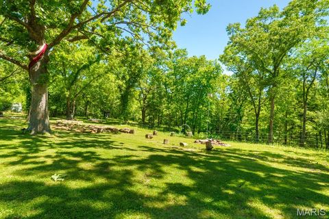 Tiny photo for 19982 State Highway 8, St James, MO 65559 (MLS # 26031079)