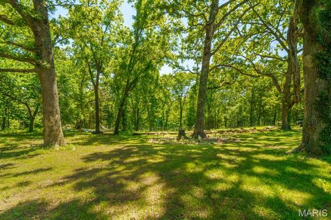 Tiny photo for 19982 State Highway 8, St James, MO 65559 (MLS # 26031079)