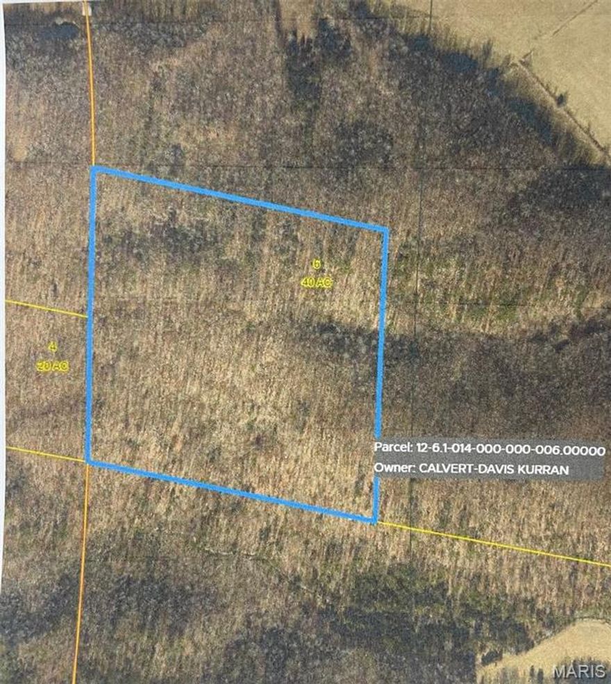 40 acres +/- wooded ground. No known deeded easement.