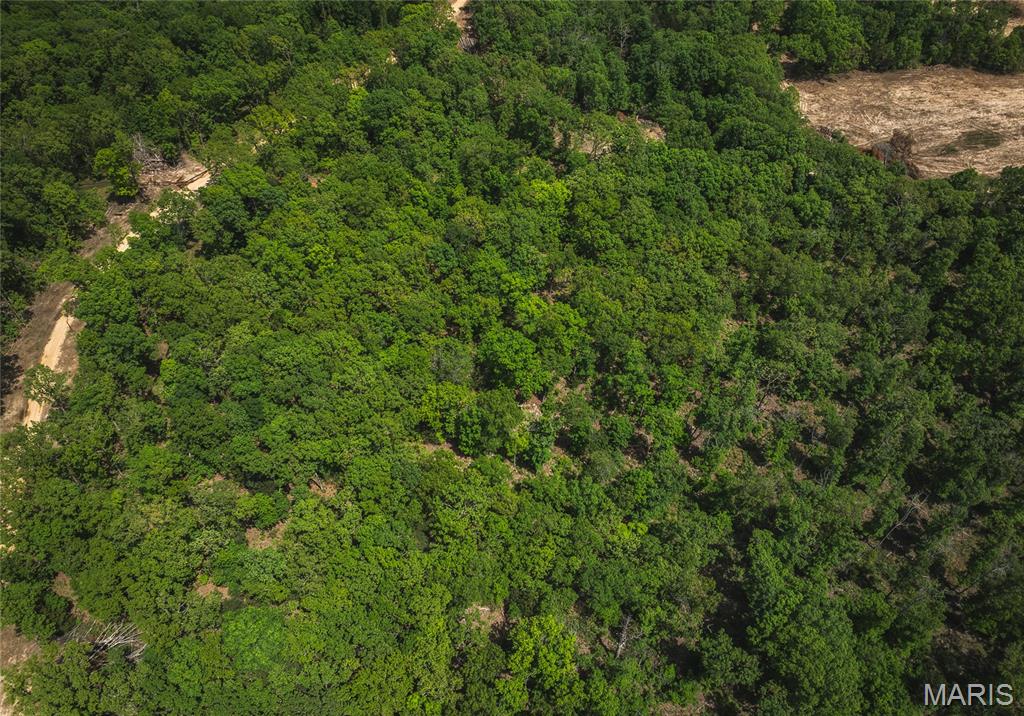 0 Lot 1, Pea Ridge Farms Drive