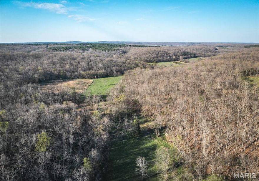 Discover this unique investment opportunity of an 81-acre property located just minutes from Meramec Springs and the Woodson K. Woods Memorial Conservation Area.
This unrestricted land offers a blend of open fields, woods, and exceptional views, all within a short drive of St. James. Given the abundance of deer and turkey, this location is ideal for hunting making it a hunter's dream.   Additionally, the easy access makes it a perfect site for a dream home or a strategic investment, with significant potential for multiple nightly rental cabins.  Don't miss out on this rare opportunity to own this incredible piece of land!