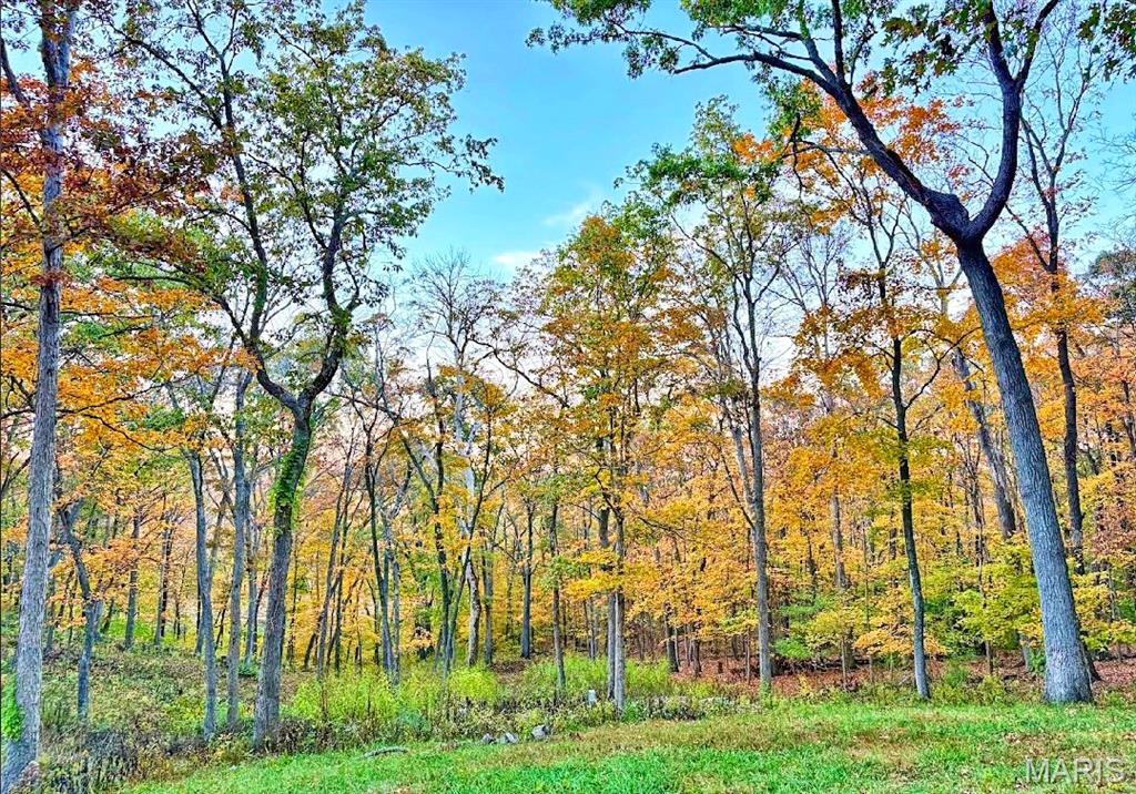 Forest Bluff - Residential