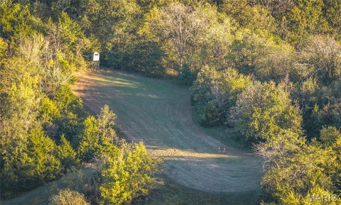 Tiny photo for 14509 Highway YY, Frankford, MO 63441 (MLS # 26066059)