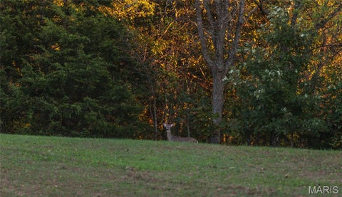 Tiny photo for 14509 Highway YY, Frankford, MO 63441 (MLS # 26066059)