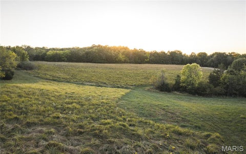 Tiny photo for 14509 Highway YY, Frankford, MO 63441 (MLS # 26066059)