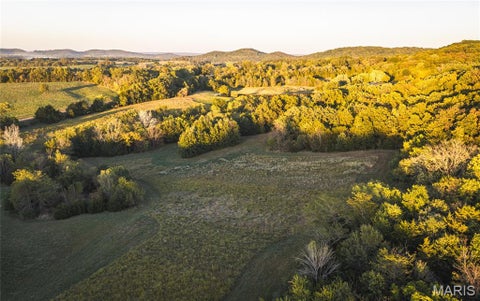 Tiny photo for 14509 Highway YY, Frankford, MO 63441 (MLS # 26066059)