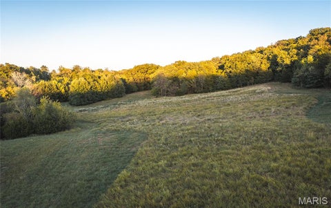 Tiny photo for 14509 Highway YY, Frankford, MO 63441 (MLS # 26066059)