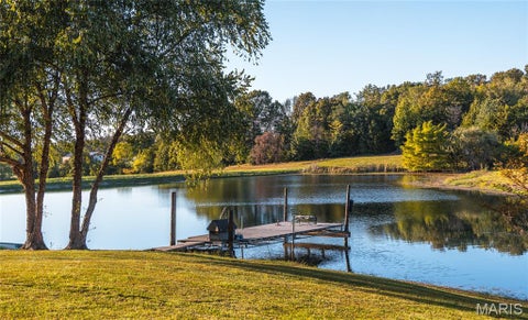 Tiny photo for 14509 Highway YY, Frankford, MO 63441 (MLS # 26066059)