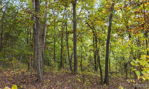 Tiny photo for 14509 Highway YY, Frankford, MO 63441 (MLS # 26066059)