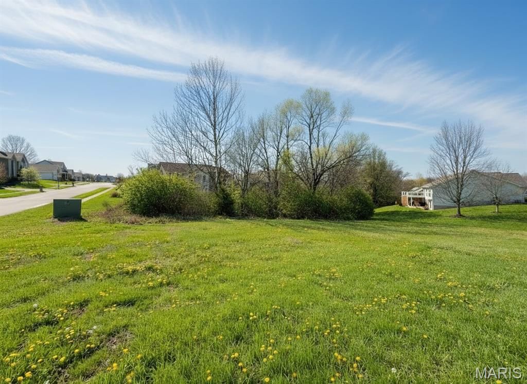 Photo of 807 Liberty Creek Drive, Wentzville, MO 63385 (MLS # 26019179)