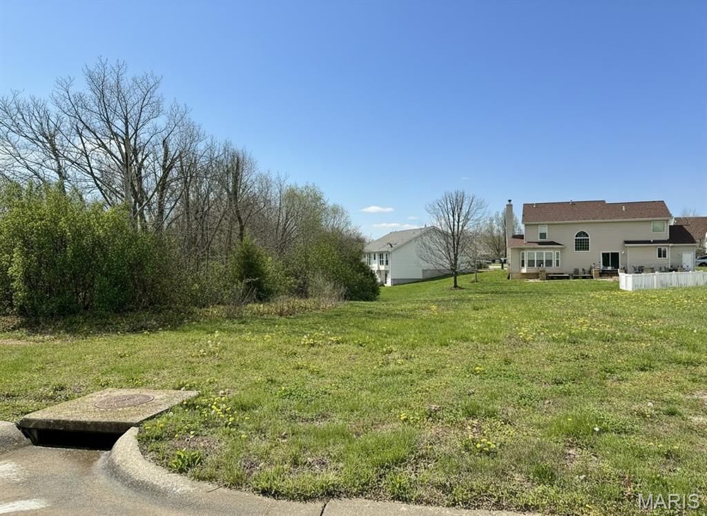 Photo of 807 Liberty Creek Drive, Wentzville, MO 63385 (MLS # 26019179)