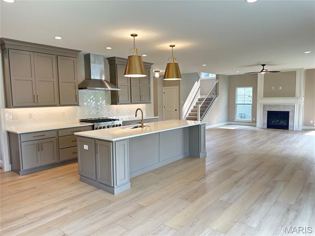 Photo of 8737 Magdalen Avenue, St Louis, MO 63144 (MLS # 25078547)