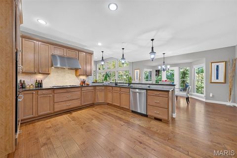 Tiny photo for 14623 Kendall Ridge Drive, Chesterfield, MO 63017 (MLS # 25076250)