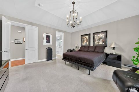 Tiny photo for 14623 Kendall Ridge Drive, Chesterfield, MO 63017 (MLS # 25076250)