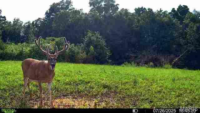 0 Cave Farm Rd. (34.5+/- Acres)