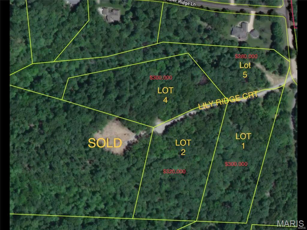 5010 Lily Ridge