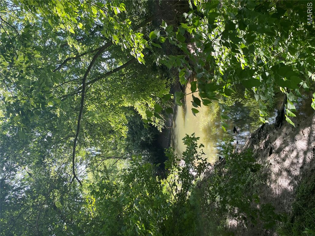 Woods Mill - Land