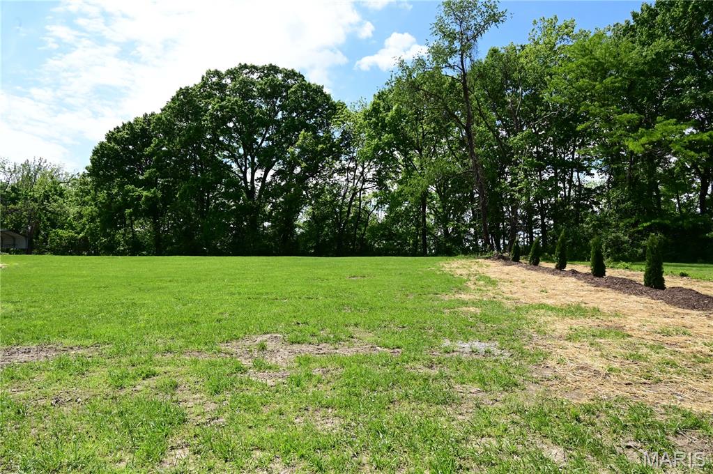Woods Mill - Land