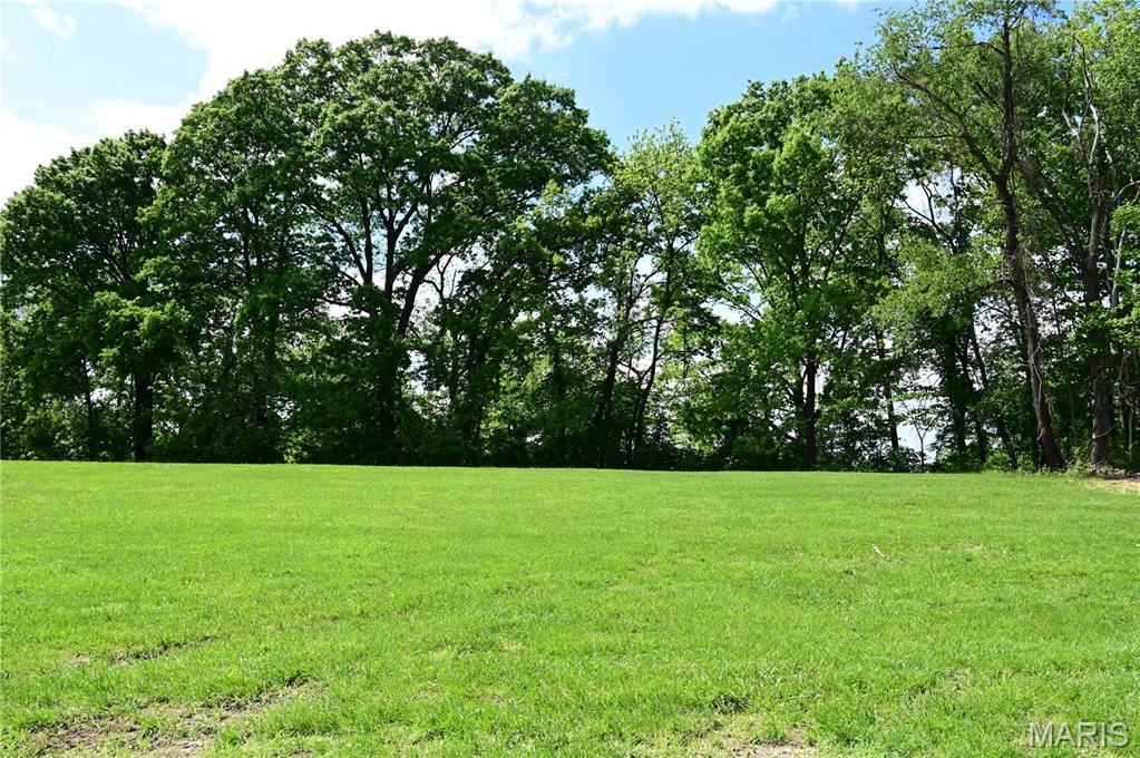 Woods Mill - Land