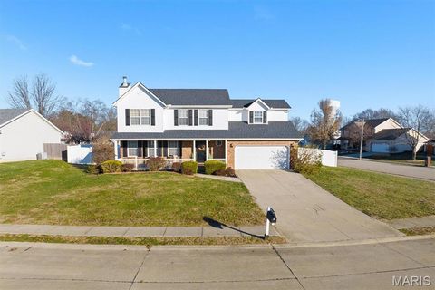 Photo of 320 Dewitt Court, OFallon, IL 62269 (MLS # 25079972)