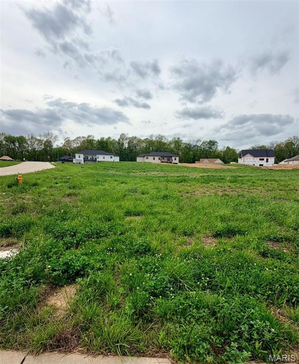 Photo of 204 Summerfield Way Way, Cape Girardeau, MO 63701 (MLS # 26024194)