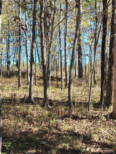 Tiny photo for 0 County Road 197 - Tract 6 (11+/- Acres), Williamsburg, MO 63388 (MLS # 26022974)