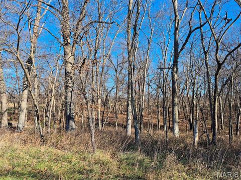 Tiny photo for 0 County Road 197 - Tract 6 (11+/- Acres), Williamsburg, MO 63388 (MLS # 26022974)