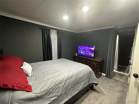 Tiny photo for 131 Bynum Street, Sikeston, MO 63801 (MLS # 26030257)