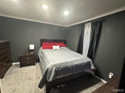 Tiny photo for 131 Bynum Street, Sikeston, MO 63801 (MLS # 26030257)