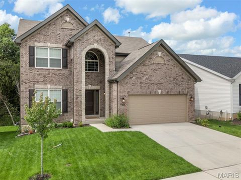 5017 Knotty Alder Drive Imperial MO 63052