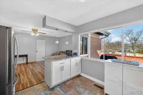 Tiny photo for 6 Nassau Circle, Creve Coeur, MO 63146 (MLS # 26014648)