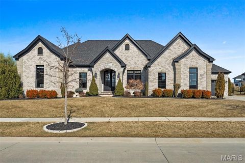 Photo of 16929 Lake Meadow, Chesterfield, MO 63005 (MLS # 26004971)