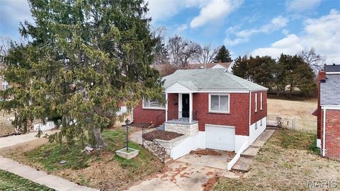 Photo of 813 Chain Of Rocks Drive, St Louis, MO 63137 (MLS # 25068920)