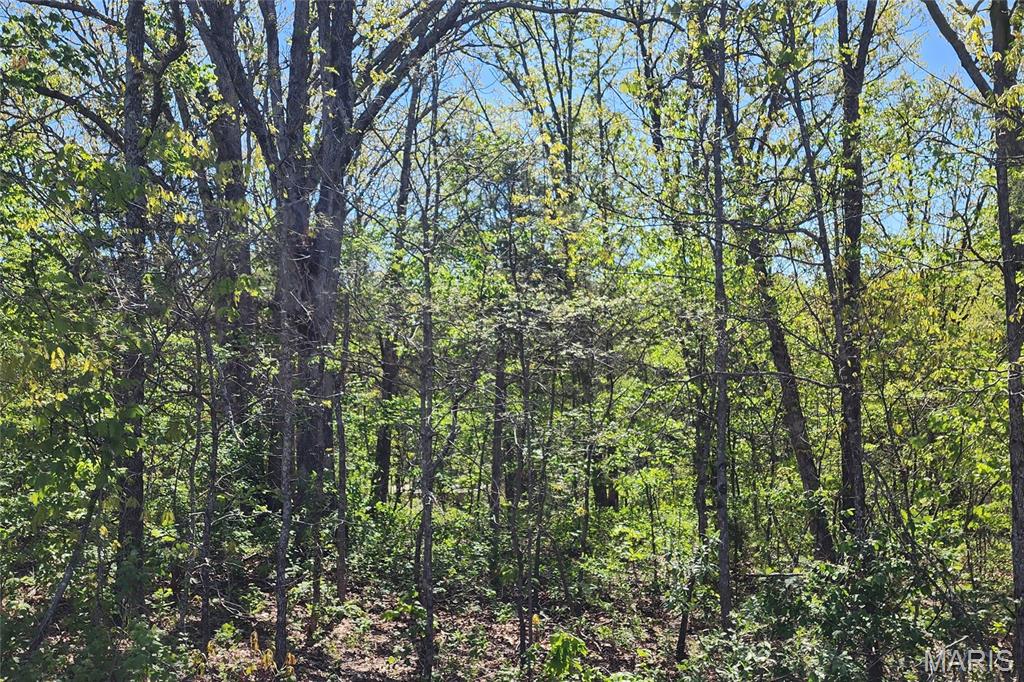 Evergreen Lakes - Land