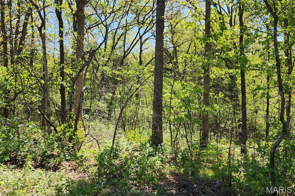 Evergreen Lakes - Land