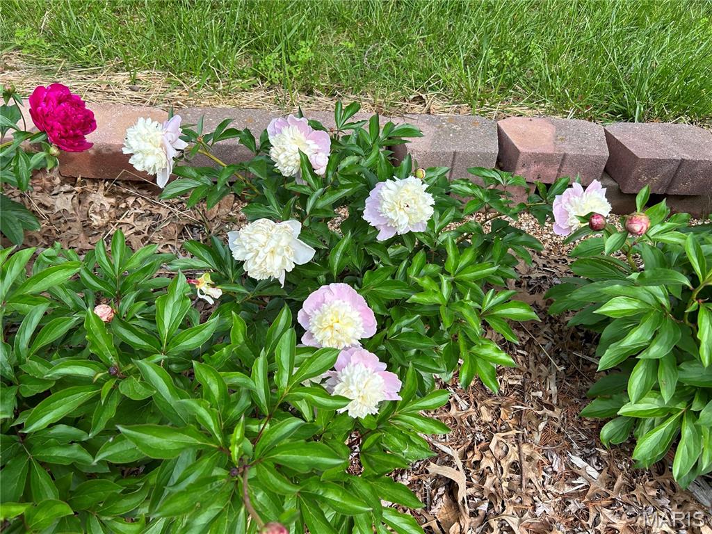 Rolling Hills - Residential