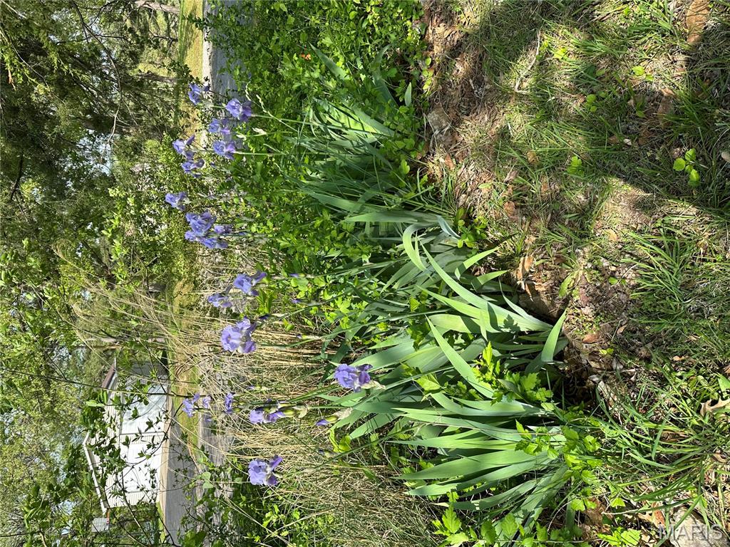 Rolling Hills - Residential