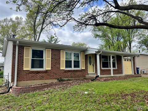 Photo of 1322 Petite Drive, St Louis, MO 63138 (MLS # 26023322)