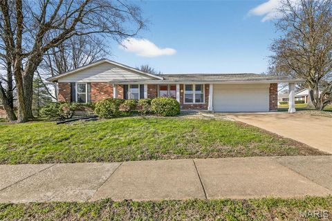 Photo of 3937 Argonne Forest Drive, Florissant, MO 63034 (MLS # 26013345)