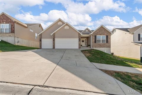 1810 Valley View Circle Festus MO 63028