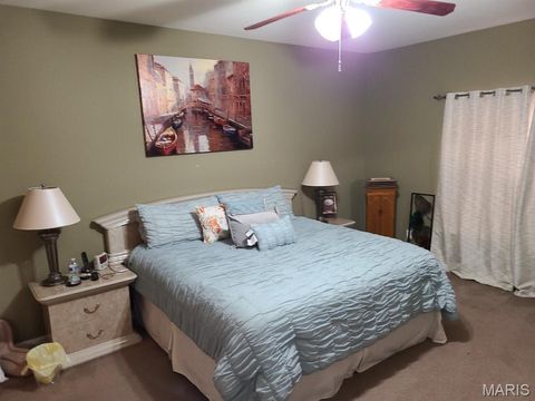 Tiny photo for 4303 Broken Rock Drive, Wentzville, MO 63385 (MLS # 25070255)