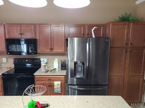 Tiny photo for 4303 Broken Rock Drive, Wentzville, MO 63385 (MLS # 25070255)