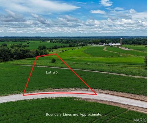 232 Autumn Hallow Ct Old Monroe MO 63369