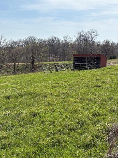 Tiny photo for 0 County Road 520, Oak Ridge, MO 63769 (MLS # 26019060)