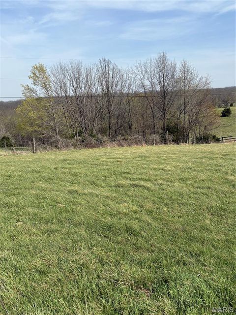 Tiny photo for 0 County Road 520, Oak Ridge, MO 63769 (MLS # 26019060)