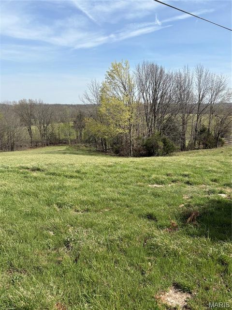 Tiny photo for 0 County Road 520, Oak Ridge, MO 63769 (MLS # 26019060)