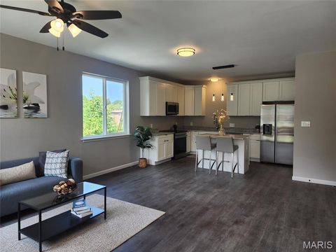 Tiny photo for 10111 Niblic Drive, Overland, MO 63114 (MLS # 26025847)